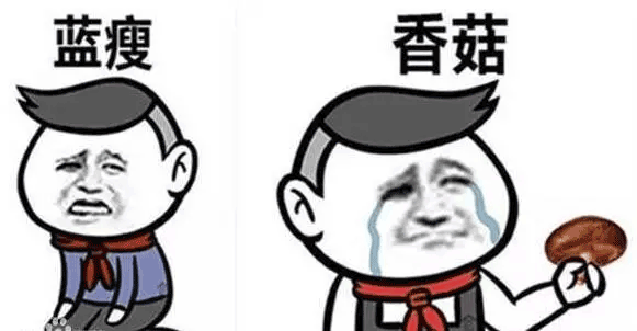 藝源網站建設_藍瘦香菇