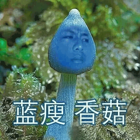 藍瘦香菇