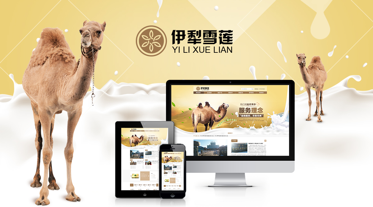 新疆伊犁雪蓮奶粉網站建設_網站建設-藝源視網